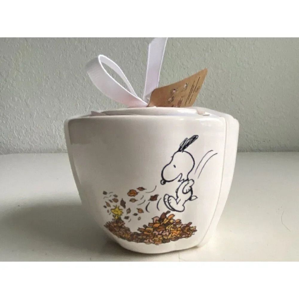 Set Of 4 Rae Dunn Autumn Fall‎ Peanuts Snoopy Charlie Brown Measuring Cups NEW
